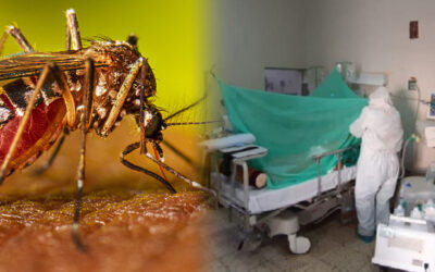 Alerta en Pátapo: la proliferación del dengue golpea a las zonas más vulnerables